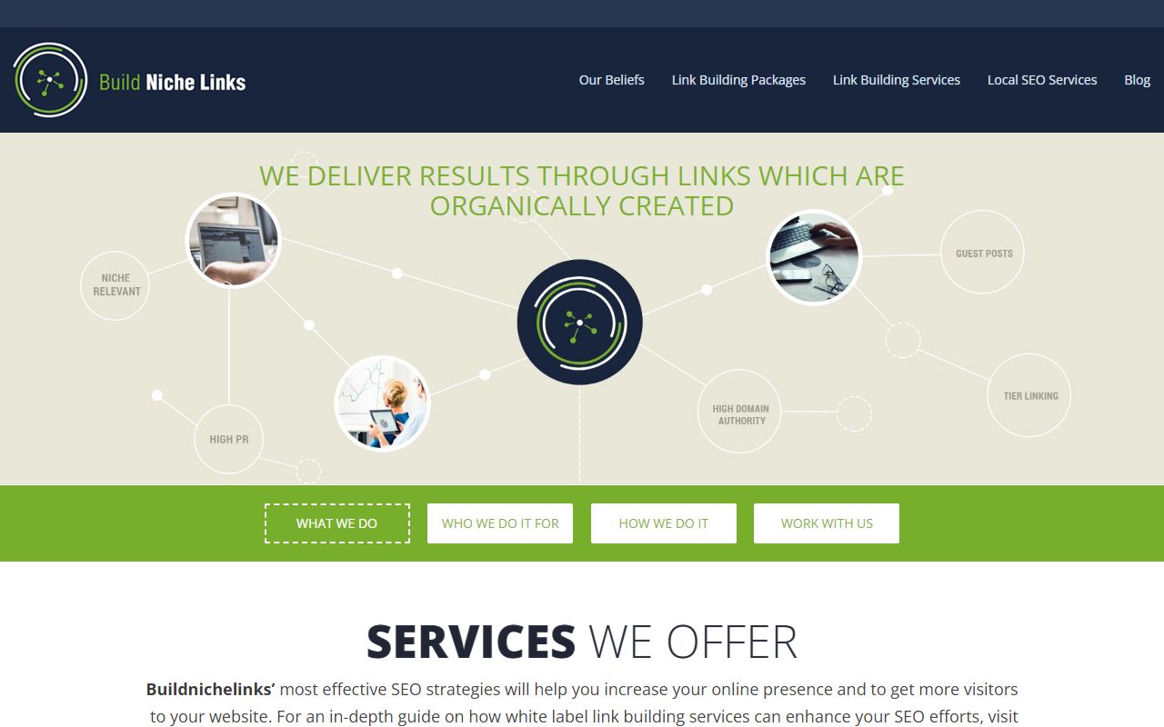 Screenshot of the Link Building Service website (buildnichelinks.com)