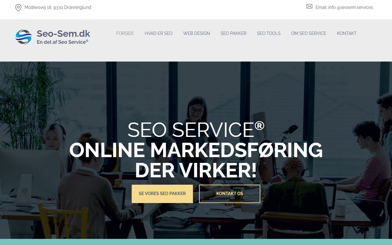 Screenshot of the Seo website (seo-sem.dk)