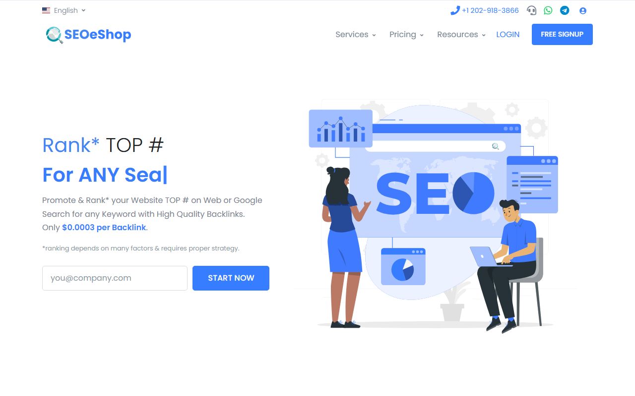 Screenshot of the SEOeShop website (seoeshop.com)